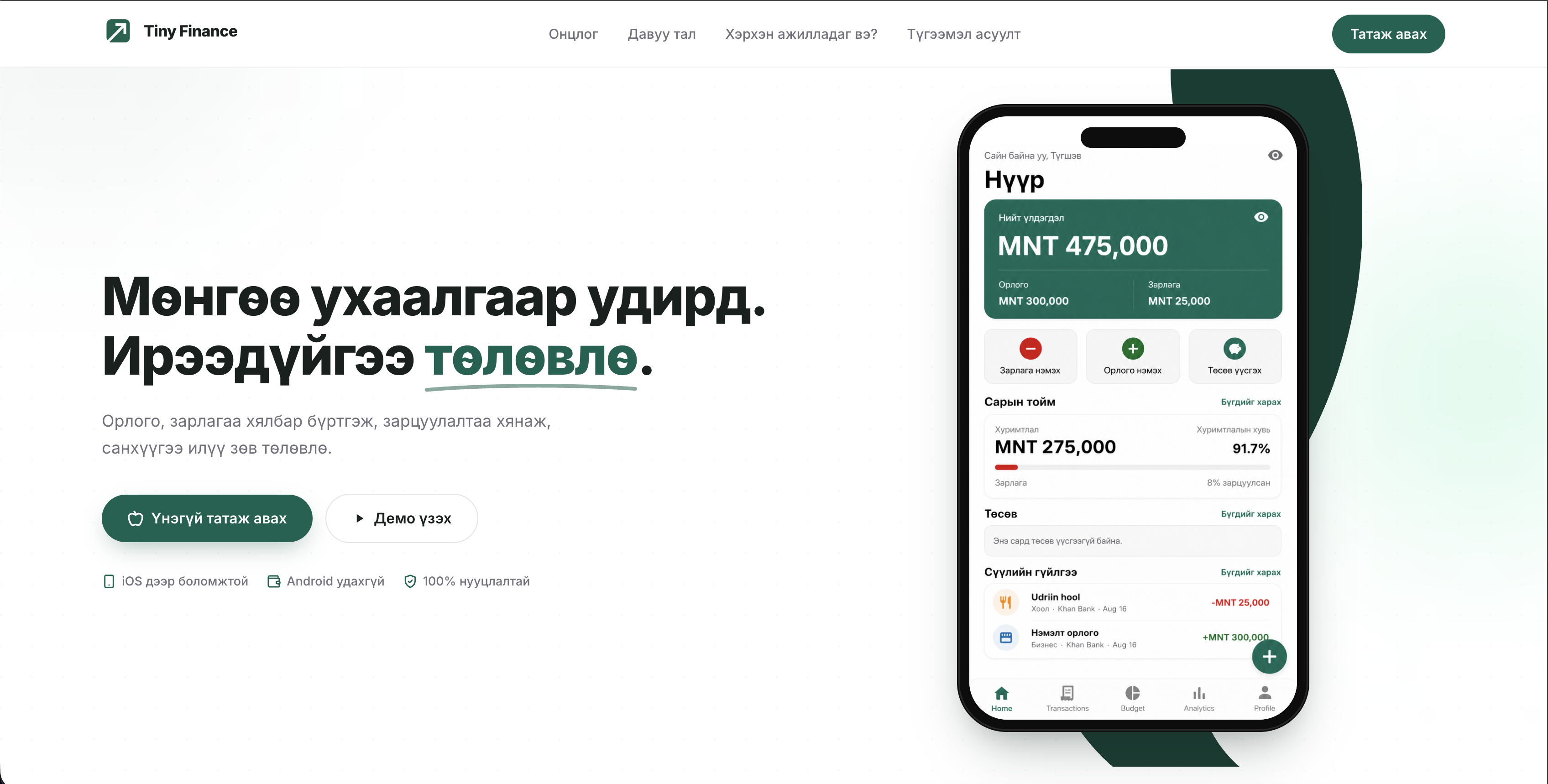 Tiny Finance interface preview